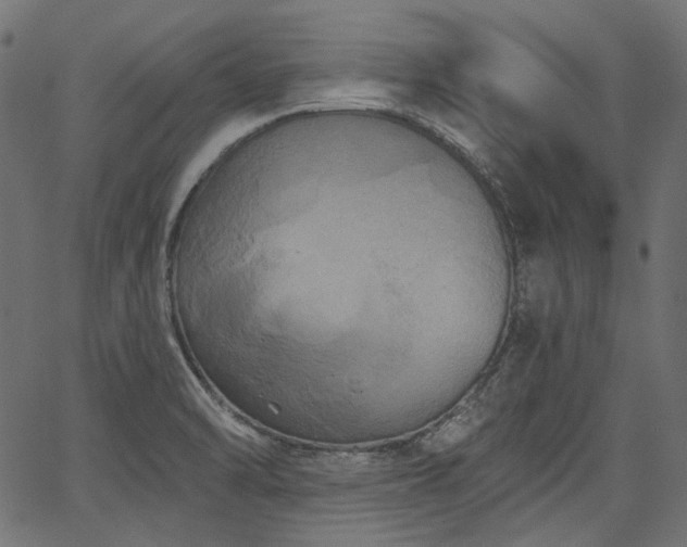 X0000067391470200603311246