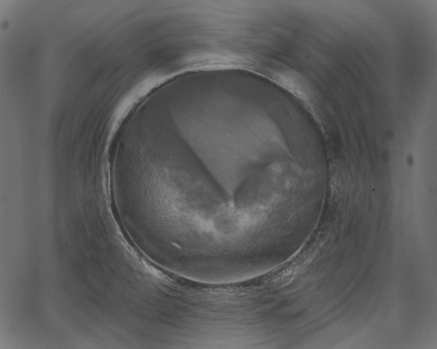 X0000067391472200603311246