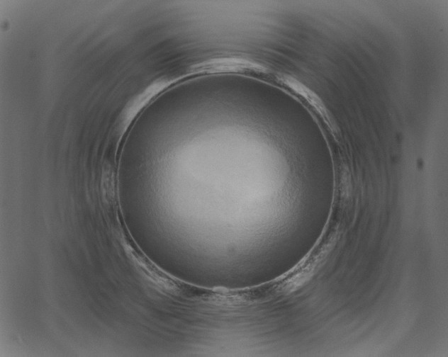 X0000067391473200603311246