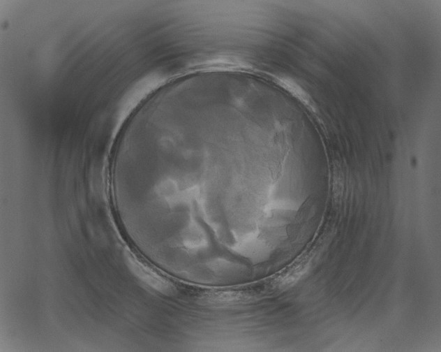 X0000067391474200603311246