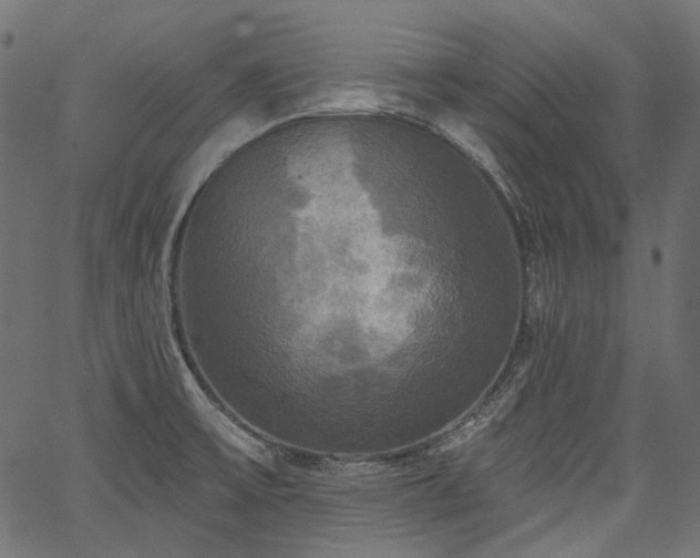 X0000067391475200603311246