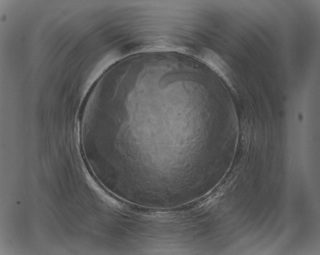 X0000067391476200603311246