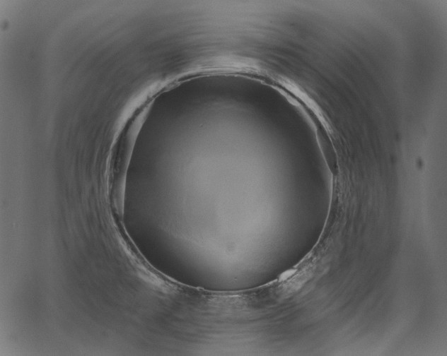 X0000067391477200603311246