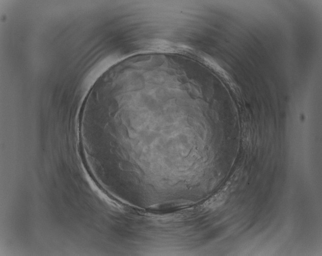 X0000067391479200603311246