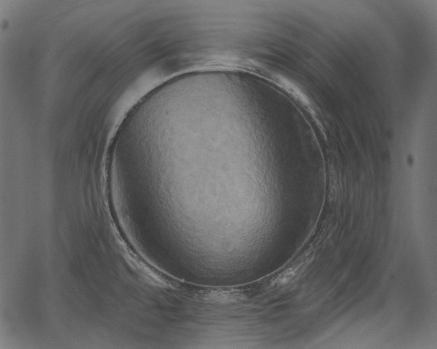 X0000067391480200603311246