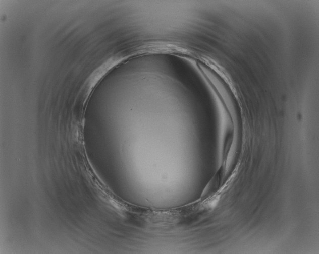 X0000067391481200603311246