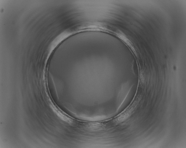 X0000067391482200603311246