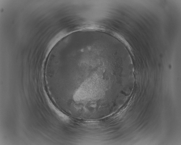 X0000067391483200603311246