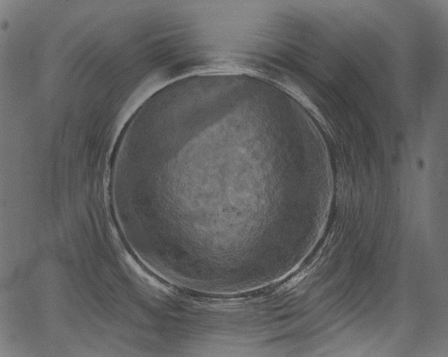 X0000067391484200603311246