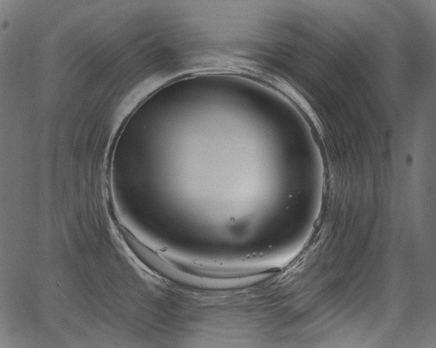 X0000067391485200603311246