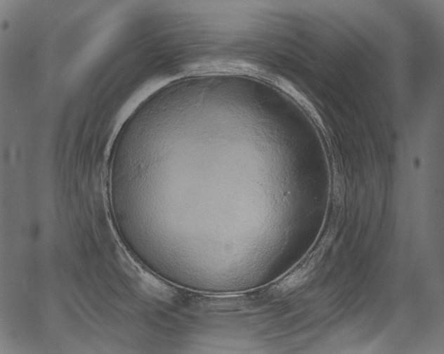 X0000067391486200603311246