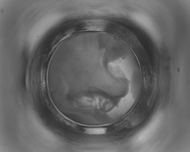 X0000067391487200603311246