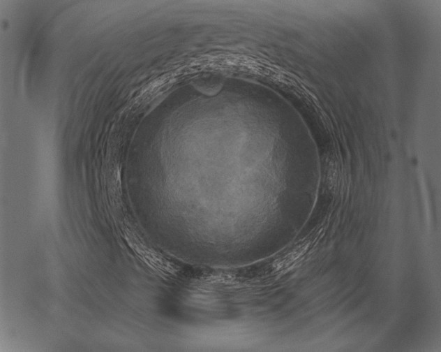 X0000067391489200603311245