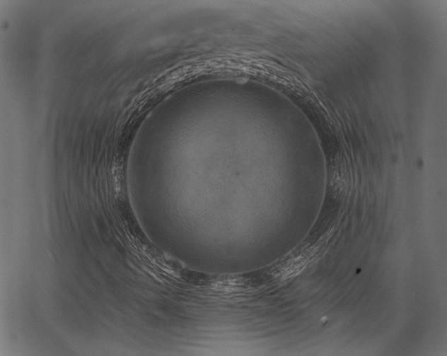 X0000067391490200603311245