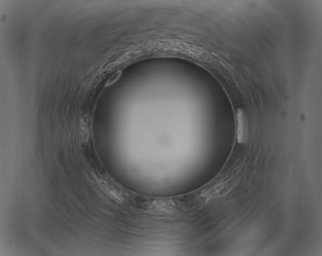 X0000067391491200603311245