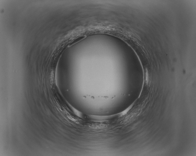 X0000067391492200603311245