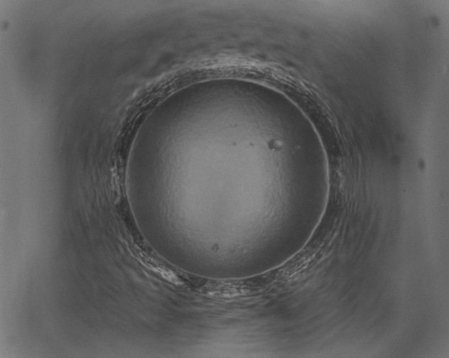 X0000067391493200603311245