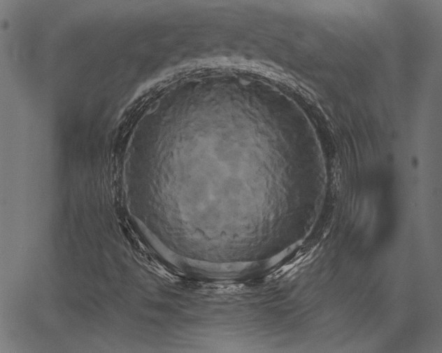 X0000067391494200603311245