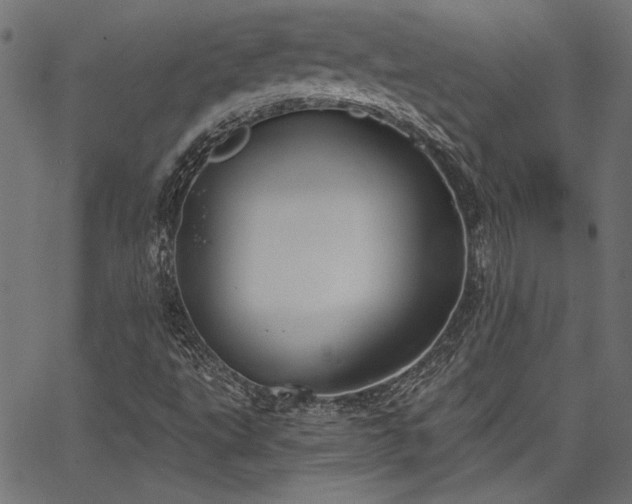 X0000067391495200603311245