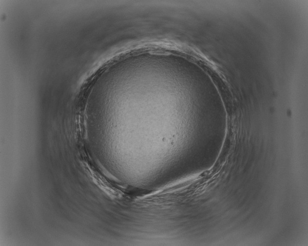 X0000067391496200603311245