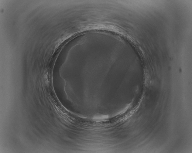 X0000067391497200603311246