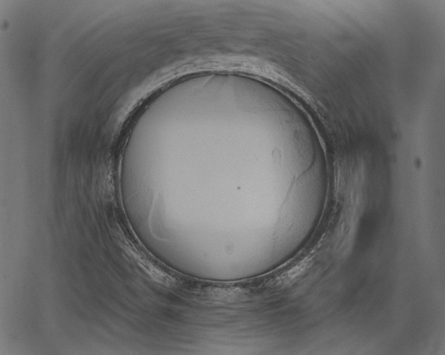 X0000067391498200603311246