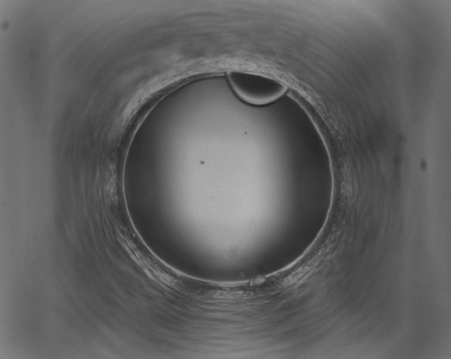 X0000067391499200603311246