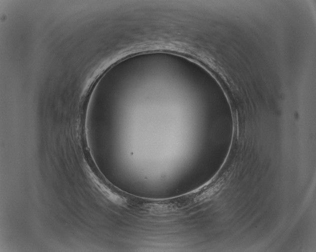 X0000067391500200603311246