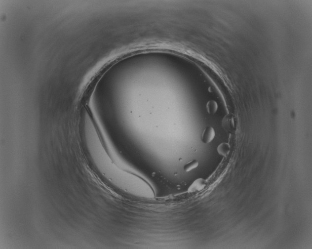 X0000067391502200603311246