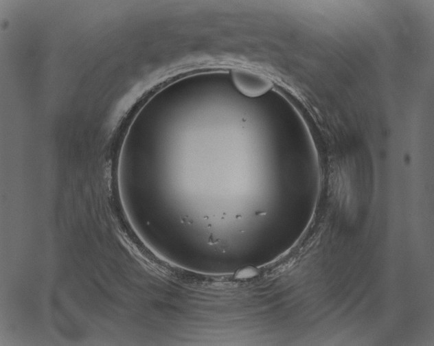 X0000067391503200603311246