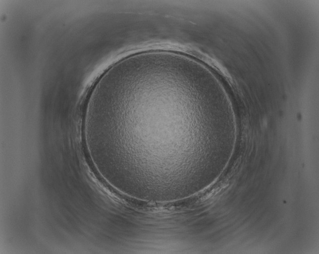 X0000067391504200603311246