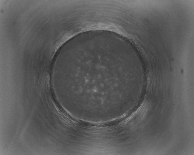 X0000067391505200603311246