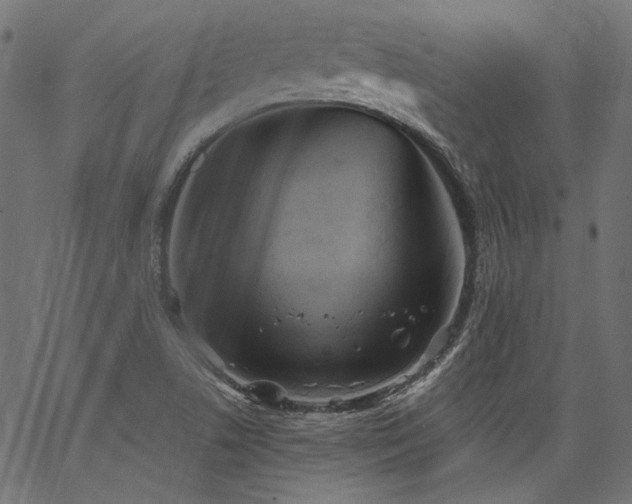 X0000067391506200603311246