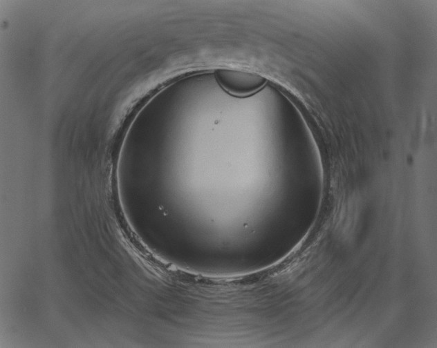 X0000067391507200603311246