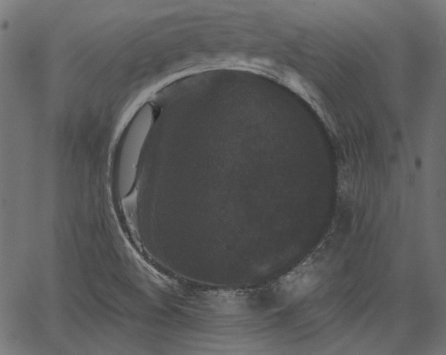 X0000067391508200603311246