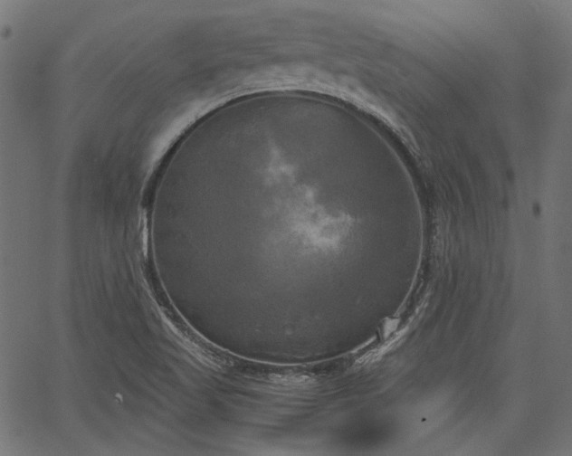 X0000067391509200603311246