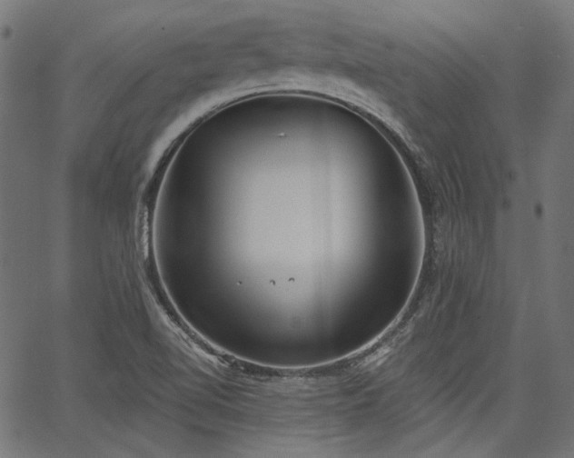 X0000067391510200603311246