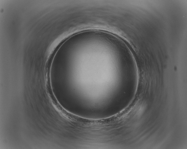 X0000067391511200603311246