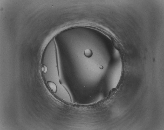 X0000067391512200603311246