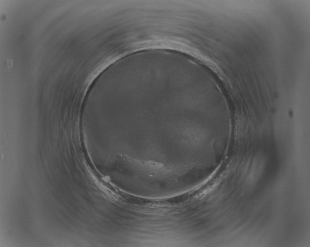 X0000067391513200603311246