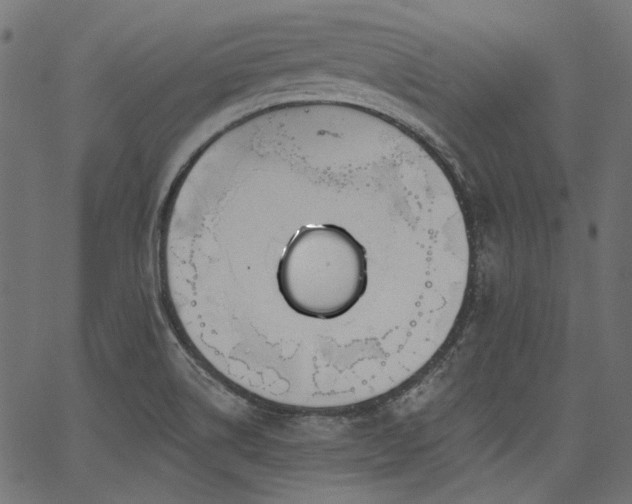 X0000067391514200603311246