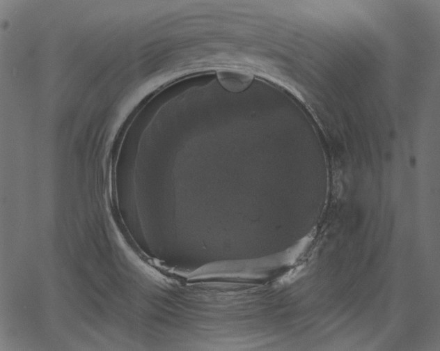 X0000067391515200603311246