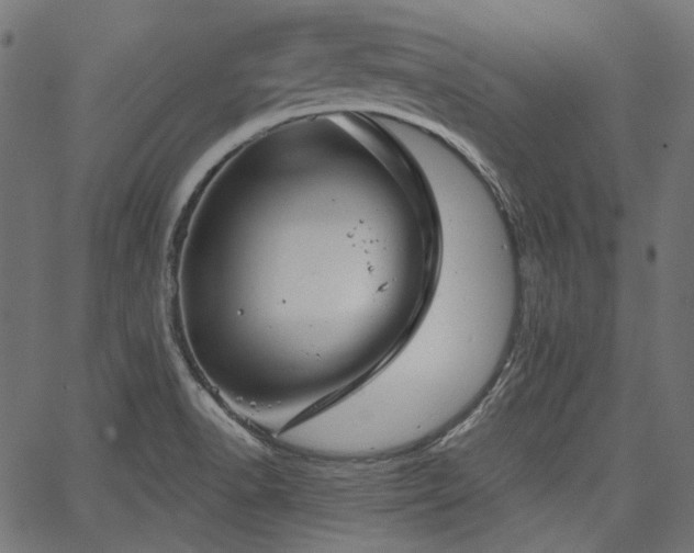 X0000067391518200603311246