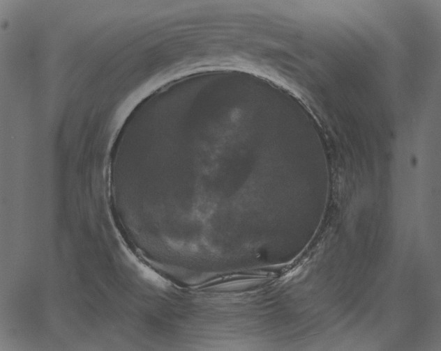 X0000067391519200603311246