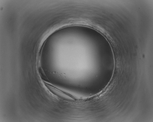 X0000067391520200603311246