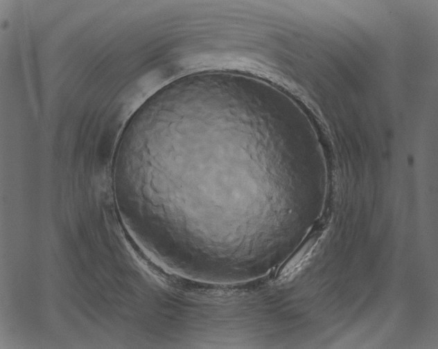 X0000067391521200603311246