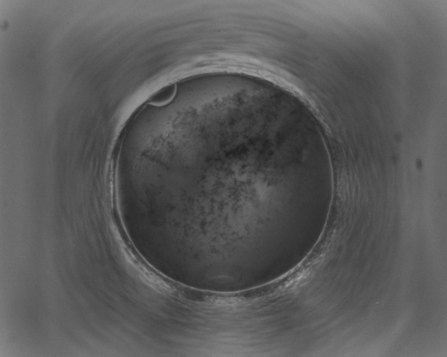 X0000067391522200603311246