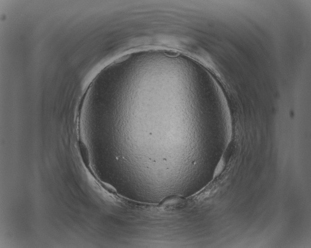 X0000067391524200603311246