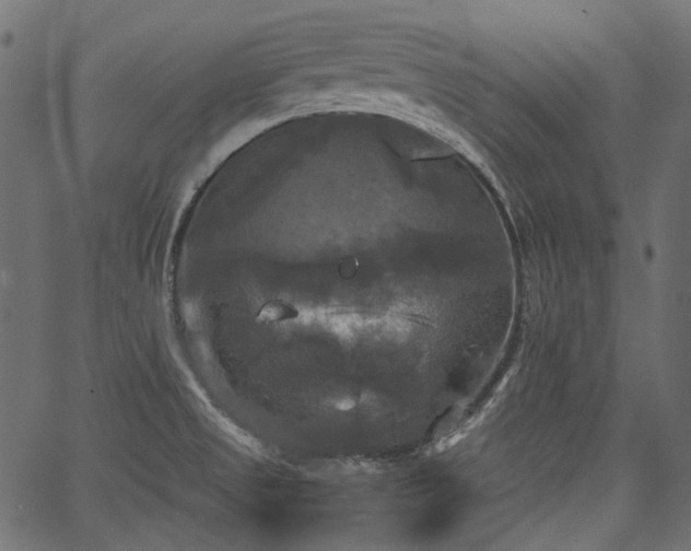 X0000067391525200603311246