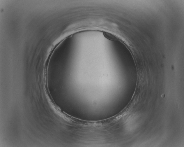 X0000067391526200603311246